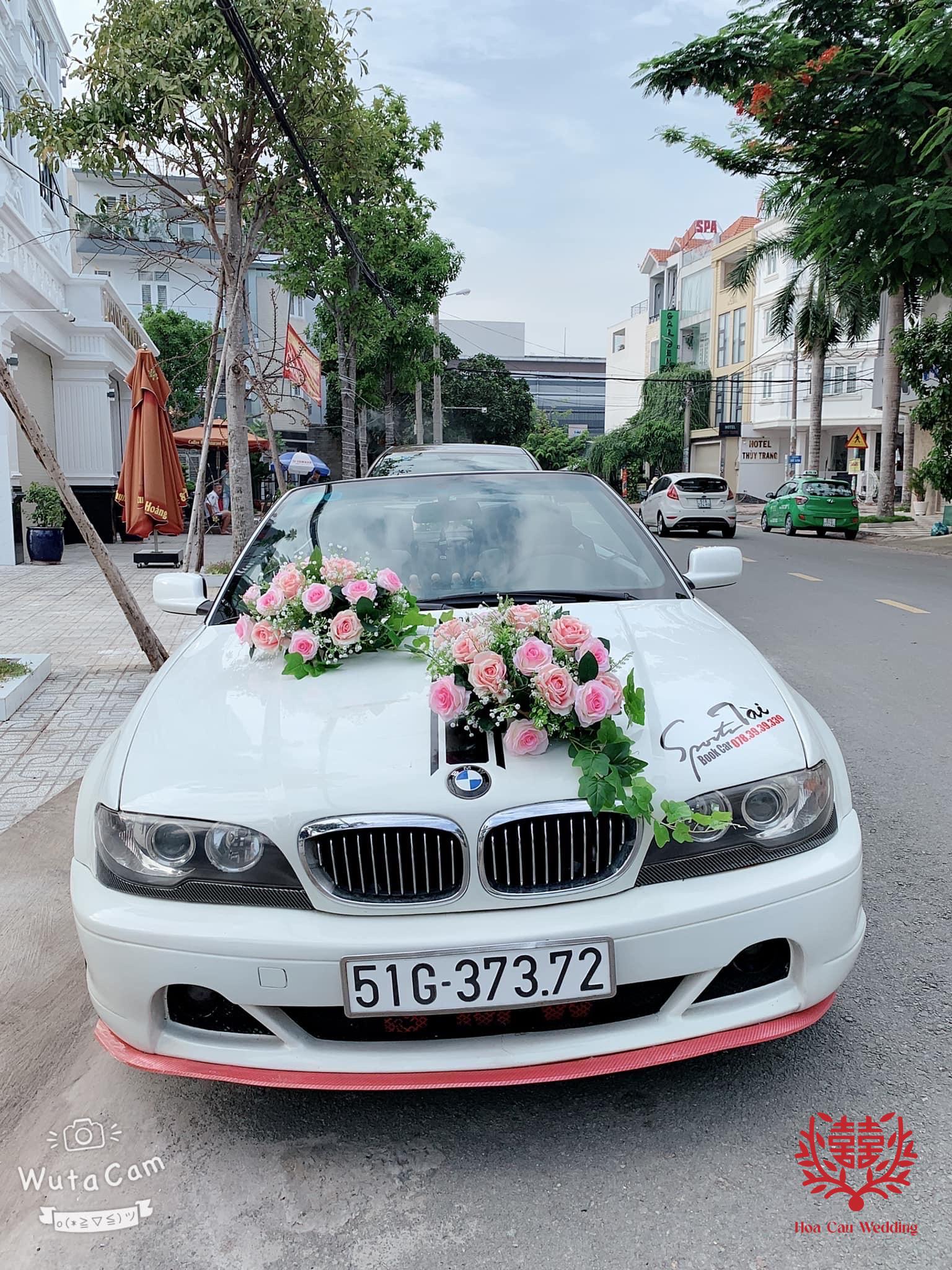 Xe Hoa - Audi mui trần