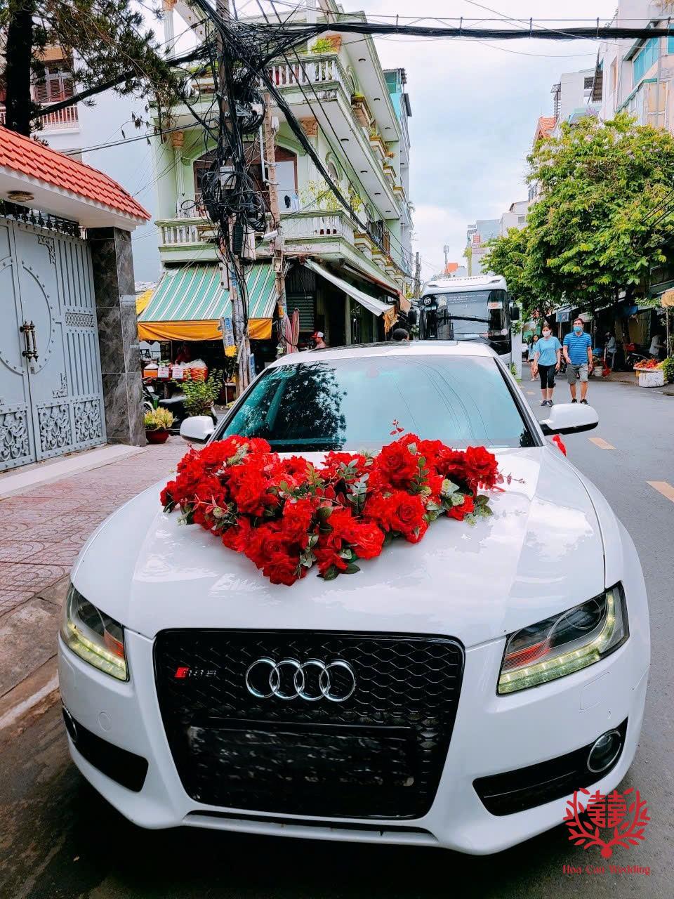 Xe Hoa - Audi A5